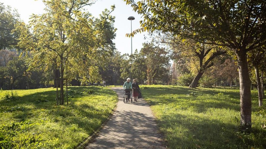 Un giardino pubblico a Milano, dedicato a Gianni Rodari, diventa spazio di aggregazione grazie al progetto "Piazze aperte". Residenti apprezzano la trasformazione e la riduzione dei disagi passati. Un giardino pubblico a Milano, dedicato a Gianni Rodari, diventa spazio di aggregazione grazie al progetto "Piazze aperte". Residenti apprezzano la trasformazione e la riduzione dei disagi passati.