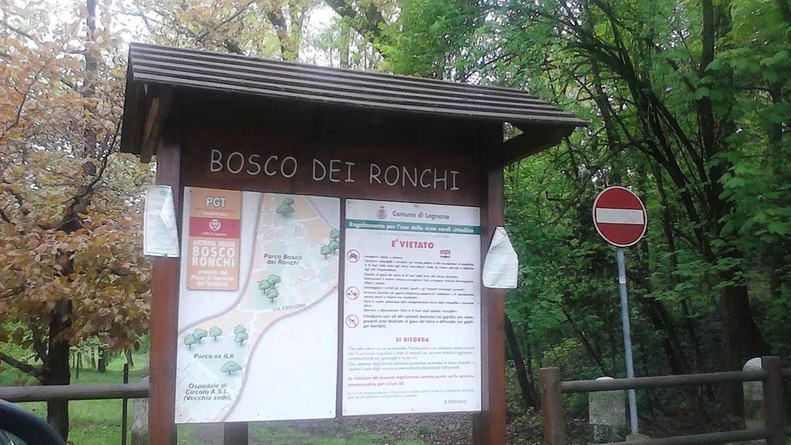 Bosco dei Ronchi, via al recupero. Spariranno gli alberi esotici malati Bosco dei Ronchi, via al recupero. Spariranno gli alberi esotici malati