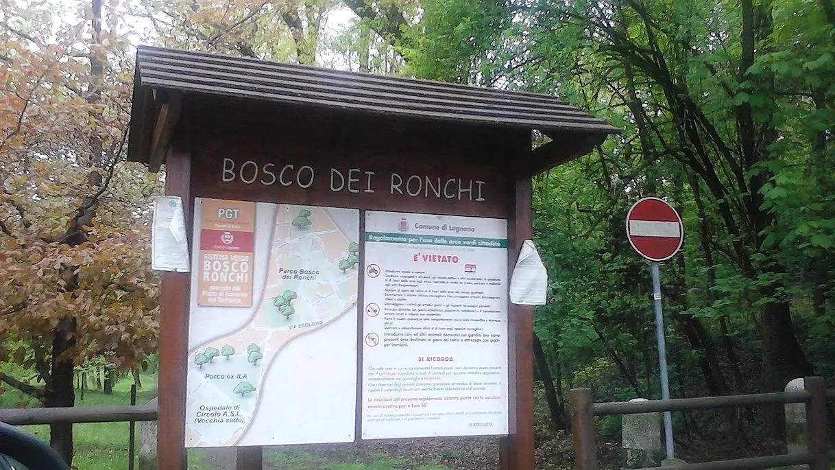 Legnano, il Comune mette a bilancio 149mila euro per riqualificarlo Legnano, il Comune mette a bilancio 149mila euro per riqualificarlo