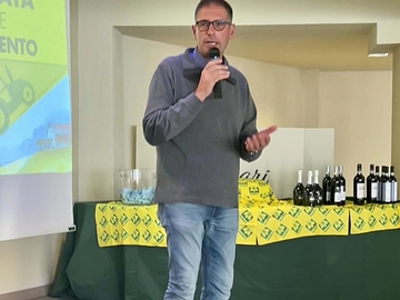 immagine articolo