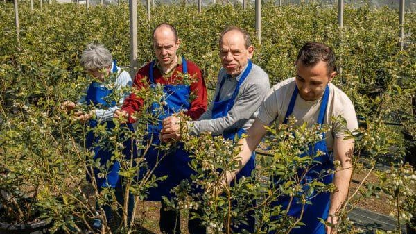 Sacra Famiglia di Cesano, la primavera regala un ‘Mirtilleto’ speciale