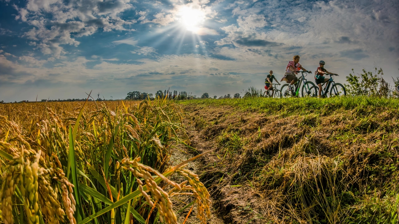 Carnaroli80: in bicicletta sulla via Francigena da Londra a Roma con 20 grandi risottate