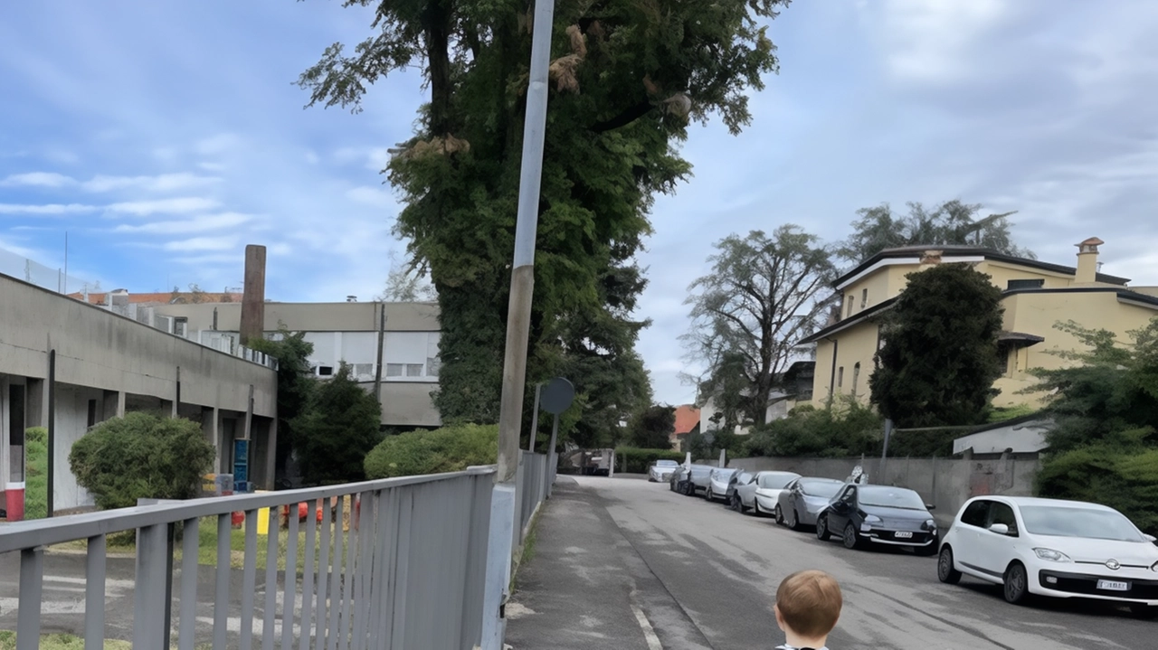 L’istituto Koinè di via Nazario Sauro L’istituto Koinè di via Nazario Sauro