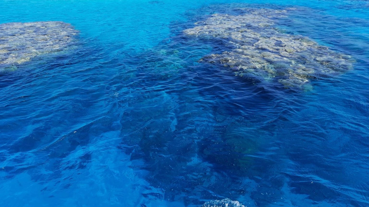 Il Mar Rosso Il Mar Rosso