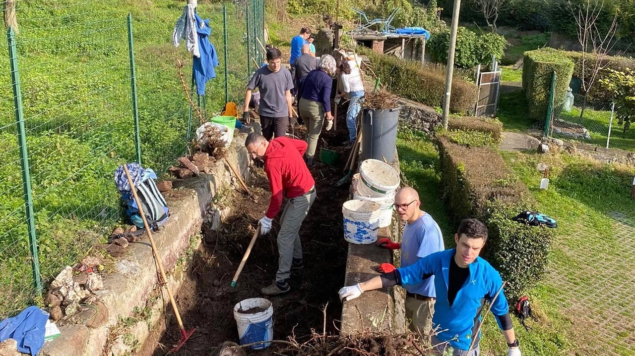 La pulizia di un tratto della cosiddetta fiumicella, ad opera dei volontari dell’associazione Officina Gerenzone La pulizia di un tratto della cosiddetta fiumicella, ad opera dei volontari dell’associazione Officina Gerenzone