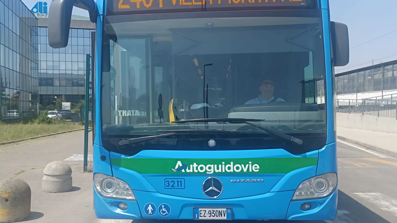 Dopo le proteste, la buona notizia La linea Z401 servirà anche il territorio cassinese Dopo le proteste, la buona notizia La linea Z401 servirà anche il territorio cassinese