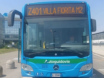 immagine articolo