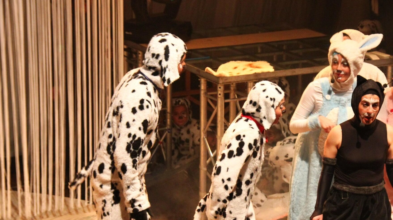 La scoppiettante favola dei 101 dalmata, riletta in modo originale e avvincente sotto forma di musical comico per famiglie. È... La scoppiettante favola dei 101 dalmata, riletta in modo originale e avvincente sotto forma di musical comico per famiglie. È...