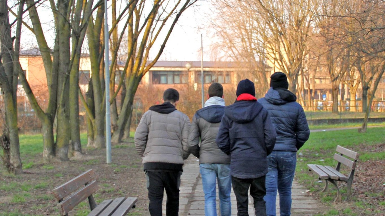 Tanti gli episodi che sono avvenuti anche fuori dalla scuola Tanti gli episodi che sono avvenuti anche fuori dalla scuola
