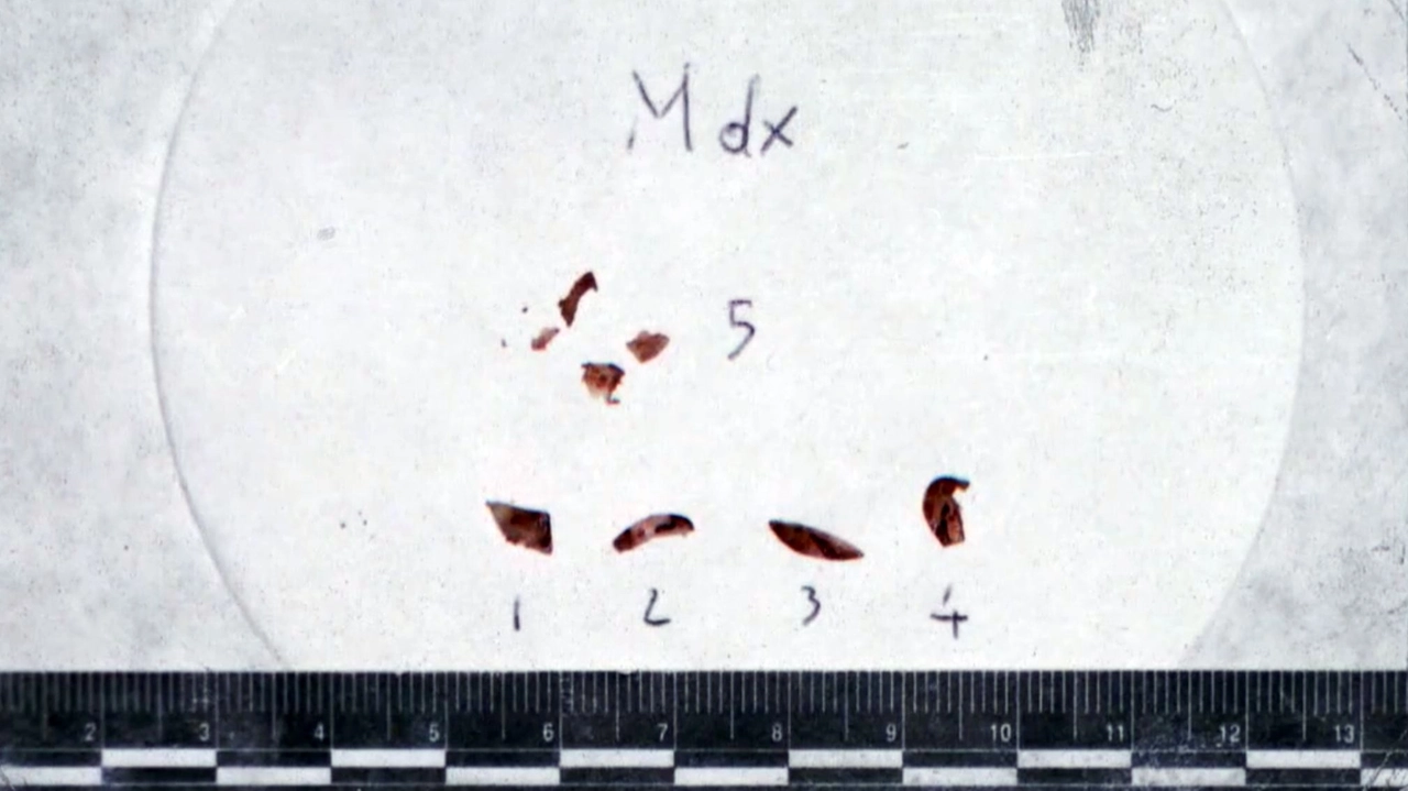 Alcune tracce di Dna ritrovate sotto le unghie di Chiara Poggi