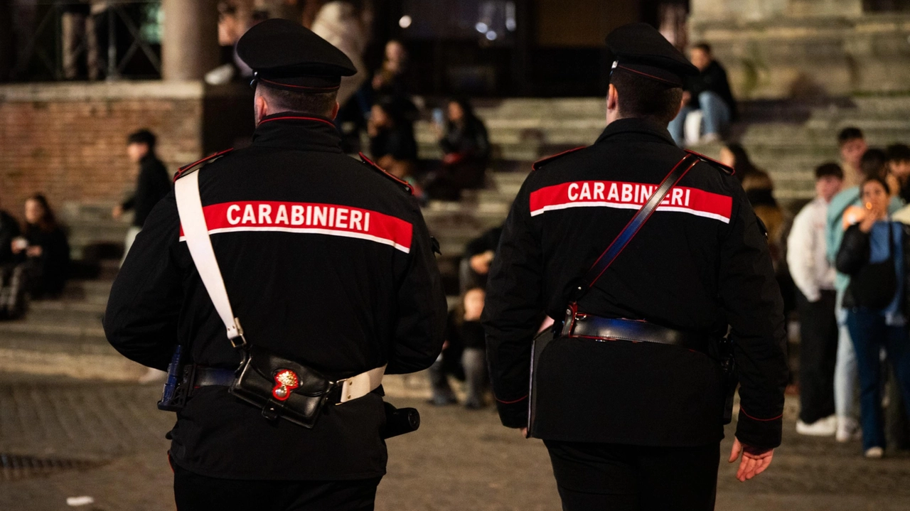 Sugli episodi indagano i carabinieri Sugli episodi indagano i carabinieri