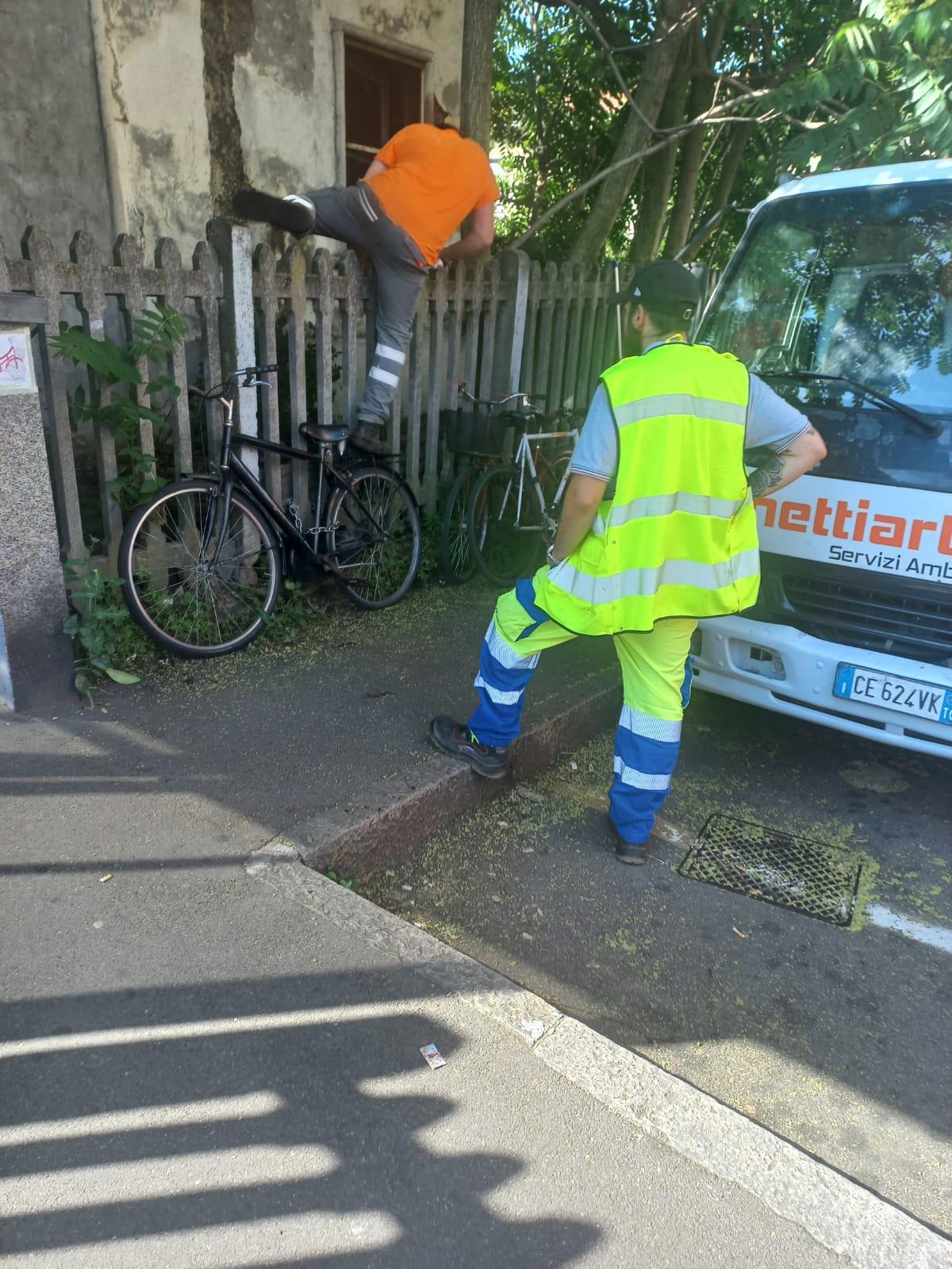 topi rifiuti e vegetazione incolta a canegrate via alla bonifica del posto di blocco abbandonato da Ilgiorno.it topi rifiuti e vegetazione incolta a canegrate via alla bonifica del posto di blocco abbandonato