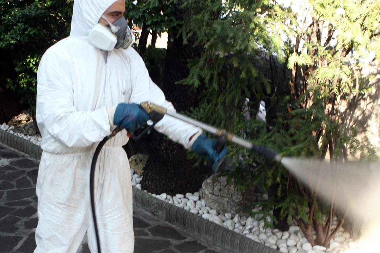 Nuovo caso di Dengue. Via alla disinfestazione