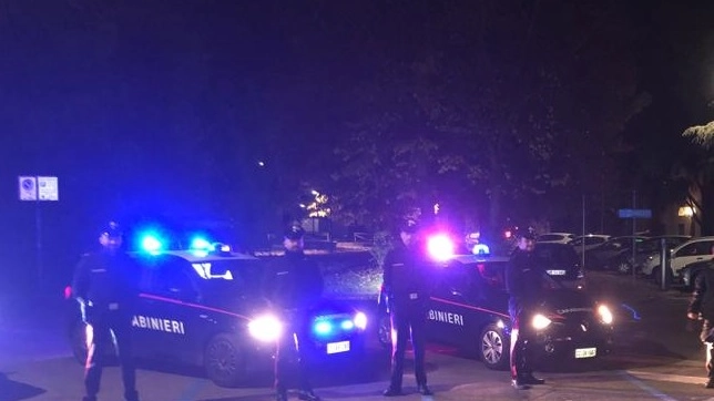La vicesindaca ha allertato i carabinieri La vicesindaca ha allertato i carabinieri
