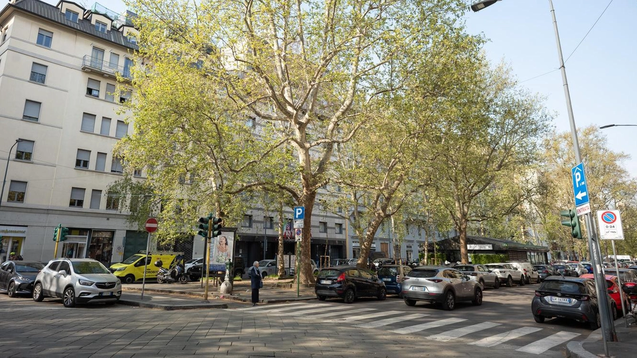 Un viale alberato tra corso Sempione e piazza Gerusalemme, il cui parterre centrale è in pratica un grande e...