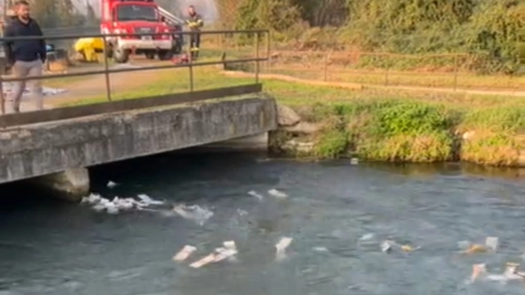 I Gratta e vinci buttati nel fiume I Gratta e vinci buttati nel fiume