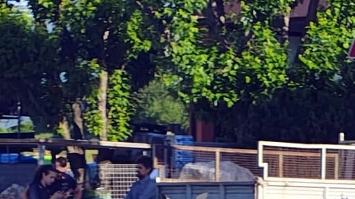 "Non l’ho visto". Dalle prime parole pronunciare subiuto dopo l’incidente è emerso tutto il senso di disperazione provato dal conducente... "Non l’ho visto". Dalle prime parole pronunciare subiuto dopo l’incidente è emerso tutto il senso di disperazione provato dal conducente...