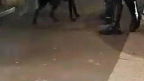I “ghisa di prossimità“ al lavoro nel quartiere Corvetto hanno individuato e fermato un giovane, presunto spacciatore, e un uomo... I “ghisa di prossimità“ al lavoro nel quartiere Corvetto hanno individuato e fermato un giovane, presunto spacciatore, e un uomo...