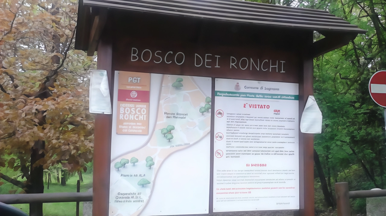 Il Comune lo ha annunciato qualche giorno fa, adesso c’è anche una data per una prima presentazione pubblica del progetto:... Il Comune lo ha annunciato qualche giorno fa, adesso c’è anche una data per una prima presentazione pubblica del progetto:...