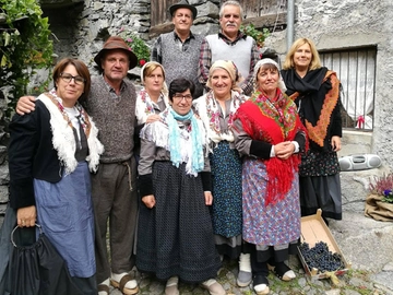 immagine articolo