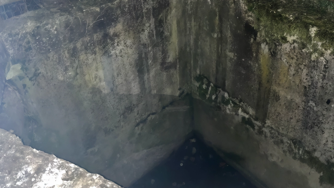 Oltrepassa la recinzione in metallo, precipita in un pozzo profondo cinque metri e muore sul colpo. Dramma nelle scorse ore... Oltrepassa la recinzione in metallo, precipita in un pozzo profondo cinque metri e muore sul colpo. Dramma nelle scorse ore...