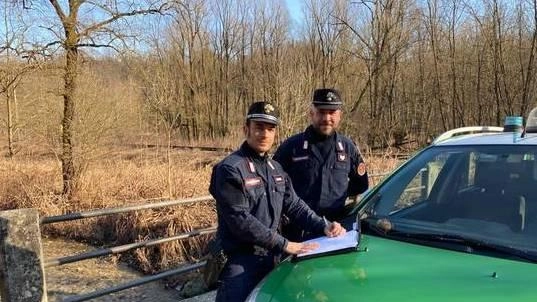 I carabinieri forestali di Varese hanno accertato 254 irregolarità durante il 2024 I carabinieri forestali di Varese hanno accertato 254 irregolarità durante il 2024