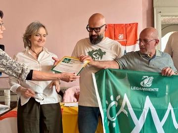 immagine articolo