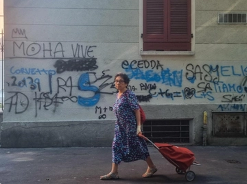 immagine articolo