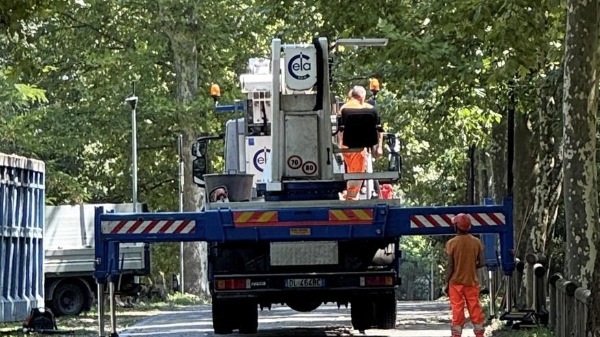 Aggrediti dal cancro colorato, malattia fungina letale, sono stati abbattuti i primi sei platani di viale Nazario Sauro. È... Aggrediti dal cancro colorato, malattia fungina letale, sono stati abbattuti i primi sei platani di viale Nazario Sauro. È...