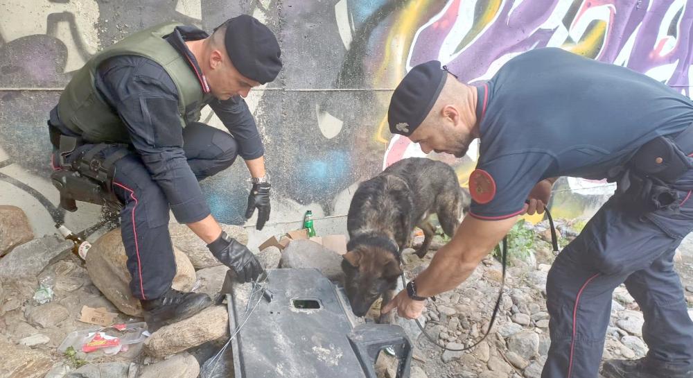 Retata nei boschi della droga dell’Alto Lario, dove i pusher hanno anche il pos. Così il fiuto di Mitck ha scovato i bivacchi Retata nei boschi della droga dell’Alto Lario, dove i pusher hanno anche il pos. Così il fiuto di Mitck ha scovato i bivacchi