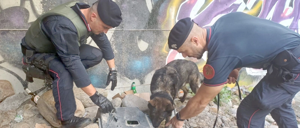 Retata nei boschi della droga dell’Alto Lario, dove i pusher hanno anche il pos. Così il fiuto di Mitck ha scovato i bivacchi