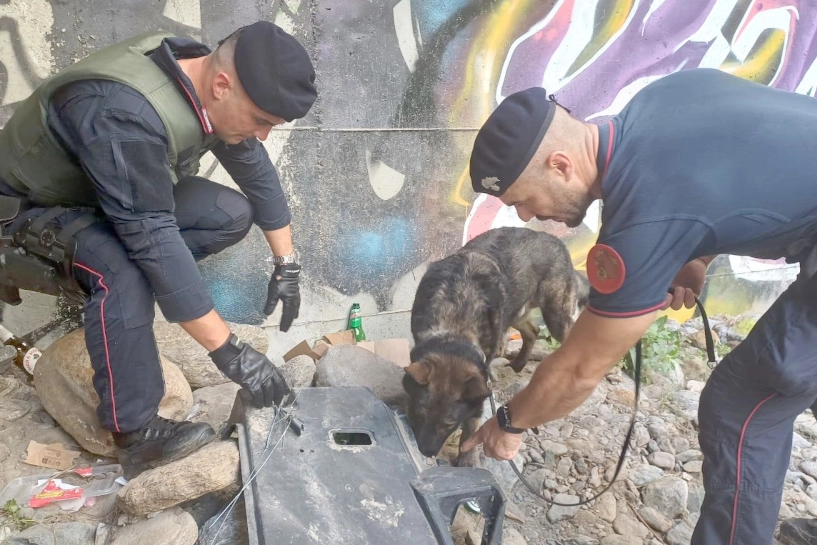 I carabinieri con il cane antidroga Mitck