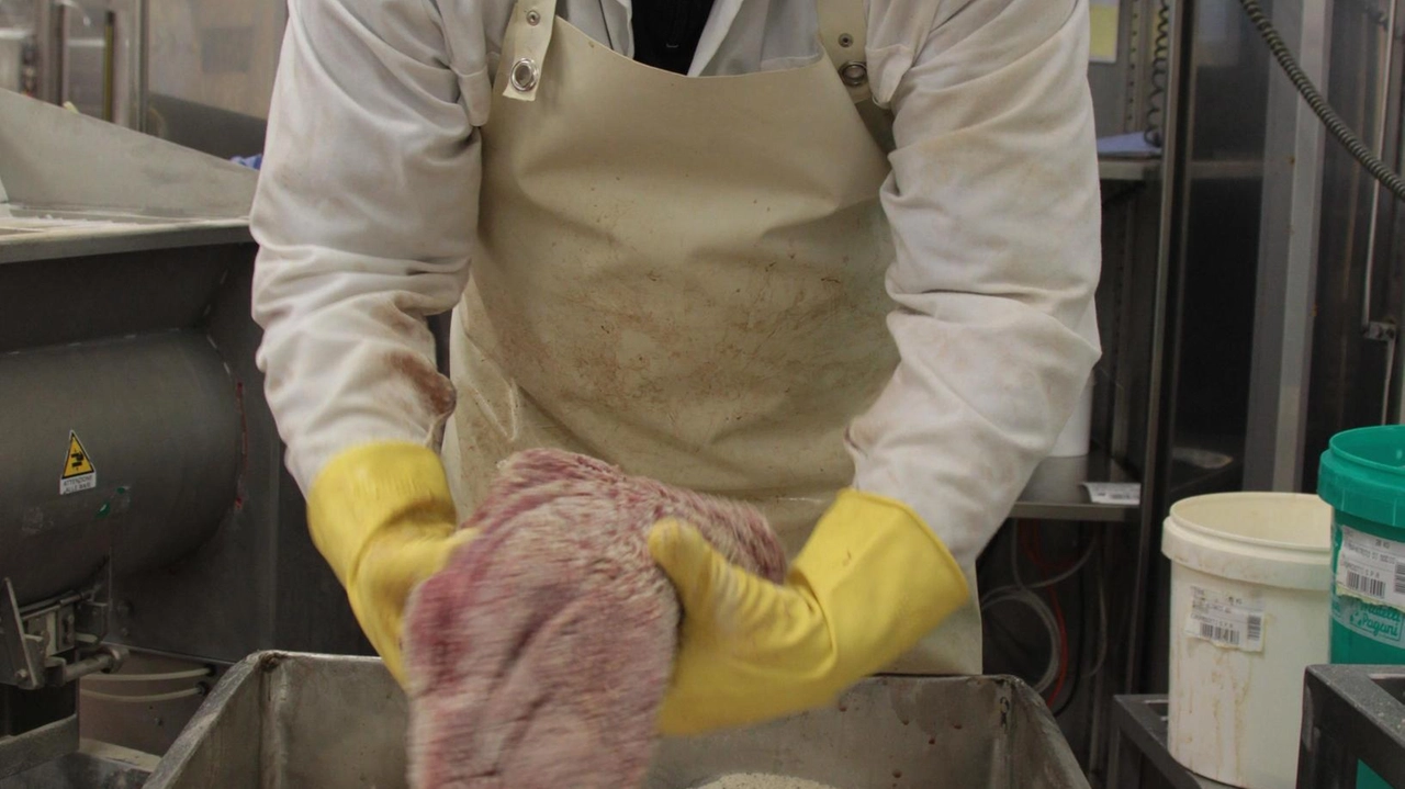 Il "Bitto e Le Stelle" promuove la valorizzazione dei prodotti agroalimentari italiani attraverso la creatività di chef d'eccellenza. La kermesse invernale del 2026 presso La Fiorida si concentra sulla sostenibilità alimentare in vista dei Giochi di Milano Cortina 2026, con l'obiettivo di ridurre plastica e sprechi. Il "Bitto e Le Stelle" promuove la valorizzazione dei prodotti agroalimentari italiani attraverso la creatività di chef d'eccellenza. La kermesse invernale del 2026 presso La Fiorida si concentra sulla sostenibilità alimentare in vista dei Giochi di Milano Cortina 2026, con l'obiettivo di ridurre plastica e sprechi.