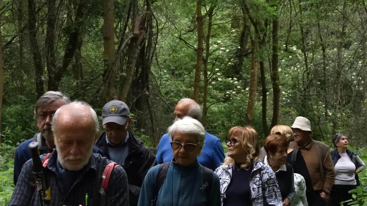 Troppe presenze negli habitat umidi e boschivi disturbano la fauna e danneggiano la vegetazione Troppe presenze negli habitat umidi e boschivi disturbano la fauna e danneggiano la vegetazione