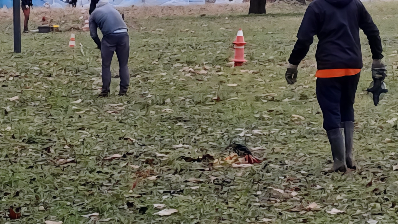 I tecnici nel Parco dei Capitani per l’avvio dell’analisi del terreno per il nuovo stadio I tecnici nel Parco dei Capitani per l’avvio dell’analisi del terreno per il nuovo stadio