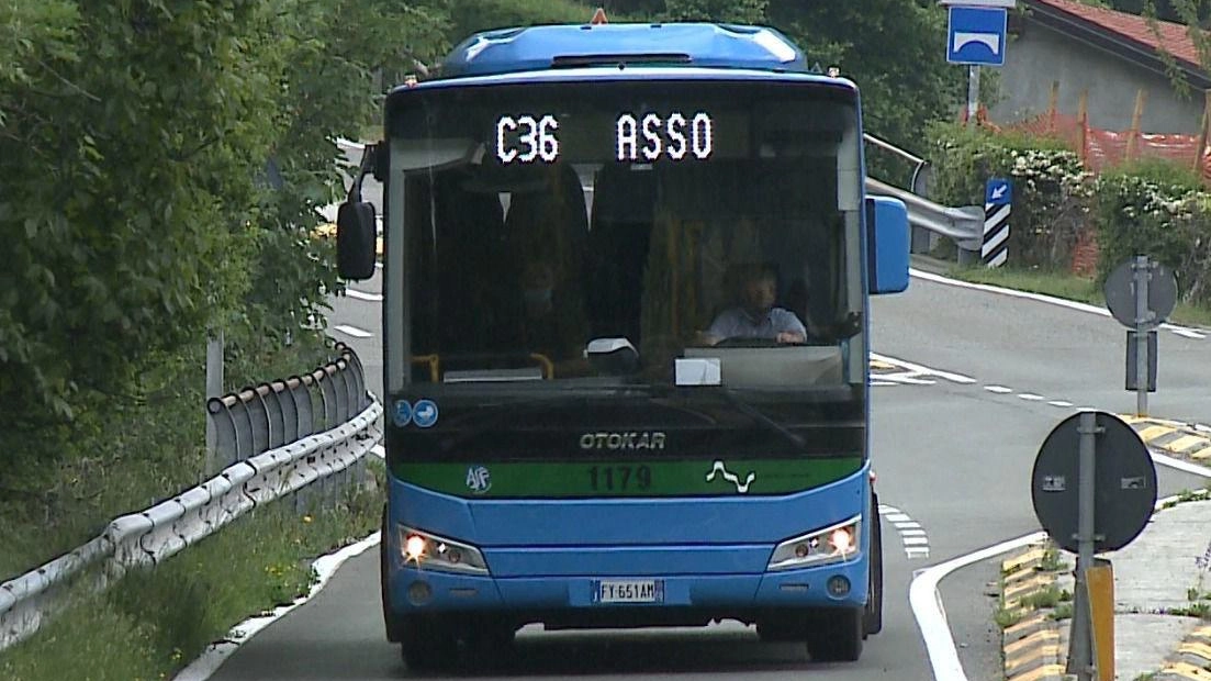 Bus della linea C36 Asso Bellagio Bus della linea C36 Asso Bellagio