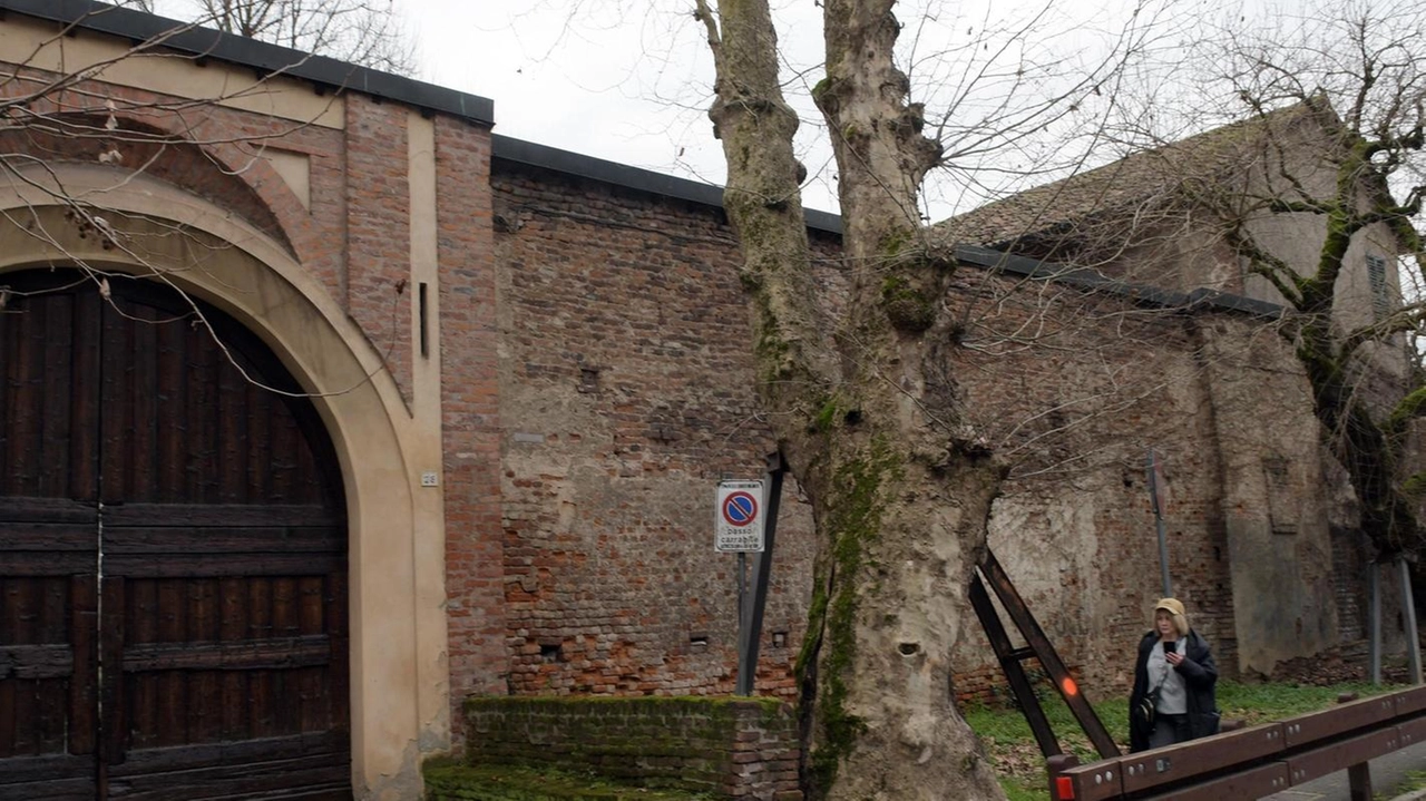 Addio al platano di Cascina Moro: sarà abbattuto. L’albero, sottoposto a costanti controlli, è in condizioni critiche e dovrà... Addio al platano di Cascina Moro: sarà abbattuto. L’albero, sottoposto a costanti controlli, è in condizioni critiche e dovrà...