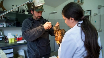 All’oasi Wwf di Vanzago. Un pronto soccorso per gli animali selvatici