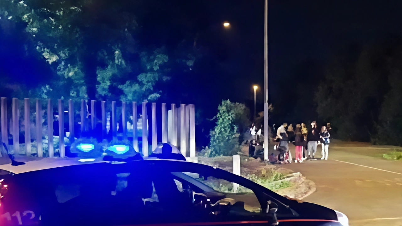 Sesto Calende, il Comune chiede di rafforzare i pattugliamenti della Polfer. Intanto, per le feste di Natale la polizia locale aumenterà il presidio nella zona. Sesto Calende, il Comune chiede di rafforzare i pattugliamenti della Polfer. Intanto, per le feste di Natale la polizia locale aumenterà il presidio nella zona.