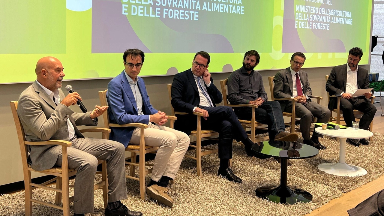La presentazione di #RigeneraBoschi La presentazione di #RigeneraBoschi