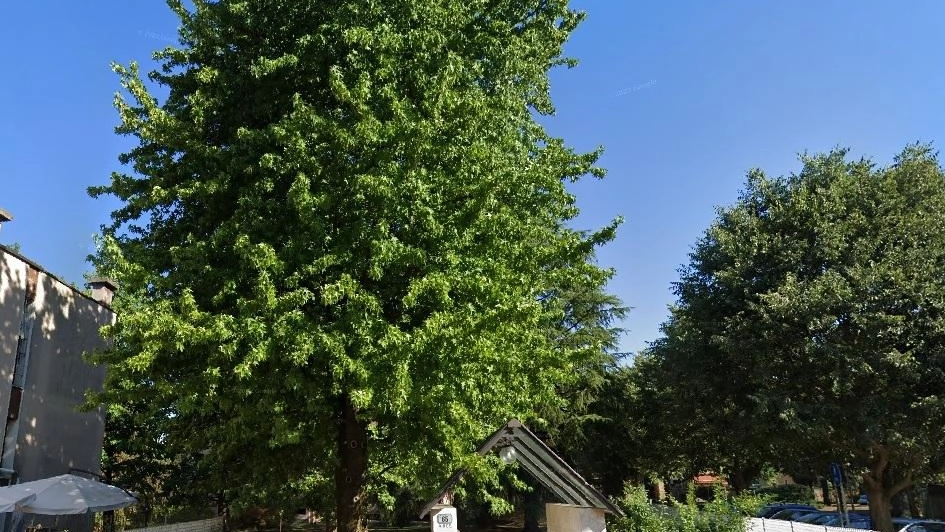 L’ingresso dello stabile di viale Resegone Dopo il via libera del consiglio l’edificio diventa un progetto di housing sociale