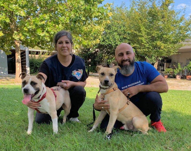 Cani segregati e malnutriti. Condannato il padrone Cani segregati e malnutriti. Condannato il padrone