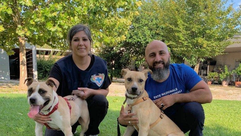 Trovati dalle Guardie Zoofile gravemente debilitati e sotto le intemperie. Sequestrati e curati dai veterinari, ora Dana e Pepe cercano una famiglia. Trovati dalle Guardie Zoofile gravemente debilitati e sotto le intemperie. Sequestrati e curati dai veterinari, ora Dana e Pepe cercano una famiglia.