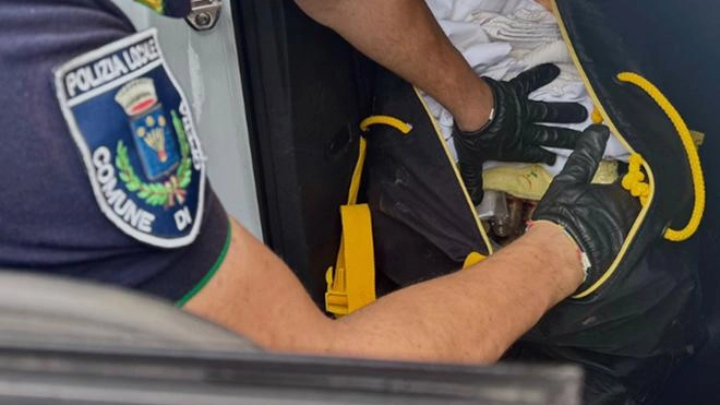 Tempestivo intervento della polizia locale: recuperate oltre 700 euro e oggetti vari di una coppia di anziani a Opera Tempestivo intervento della polizia locale: recuperate oltre 700 euro e oggetti vari di una coppia di anziani a Opera