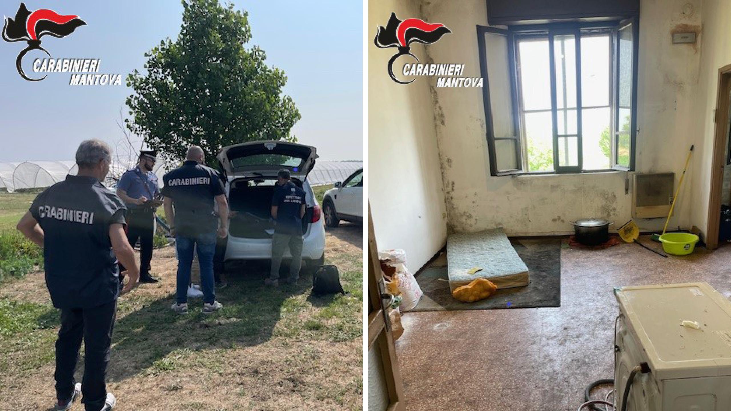 Caporalato nel Mantovano, irregolari 11 aziende su 14: oltre 60 lavoratori costretti a vivere nel degrado Caporalato nel Mantovano, irregolari 11 aziende su 14: oltre 60 lavoratori costretti a vivere nel degrado
