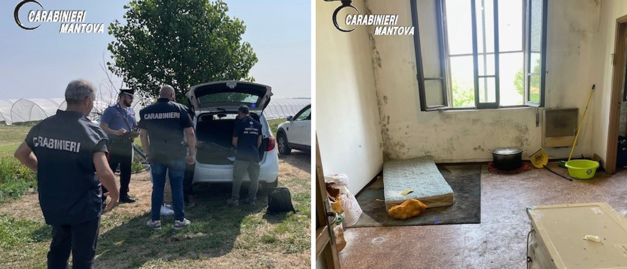 Caporalato nel Mantovano, irregolari 11 aziende su 14: oltre 60 lavoratori costretti a vivere nel degrado