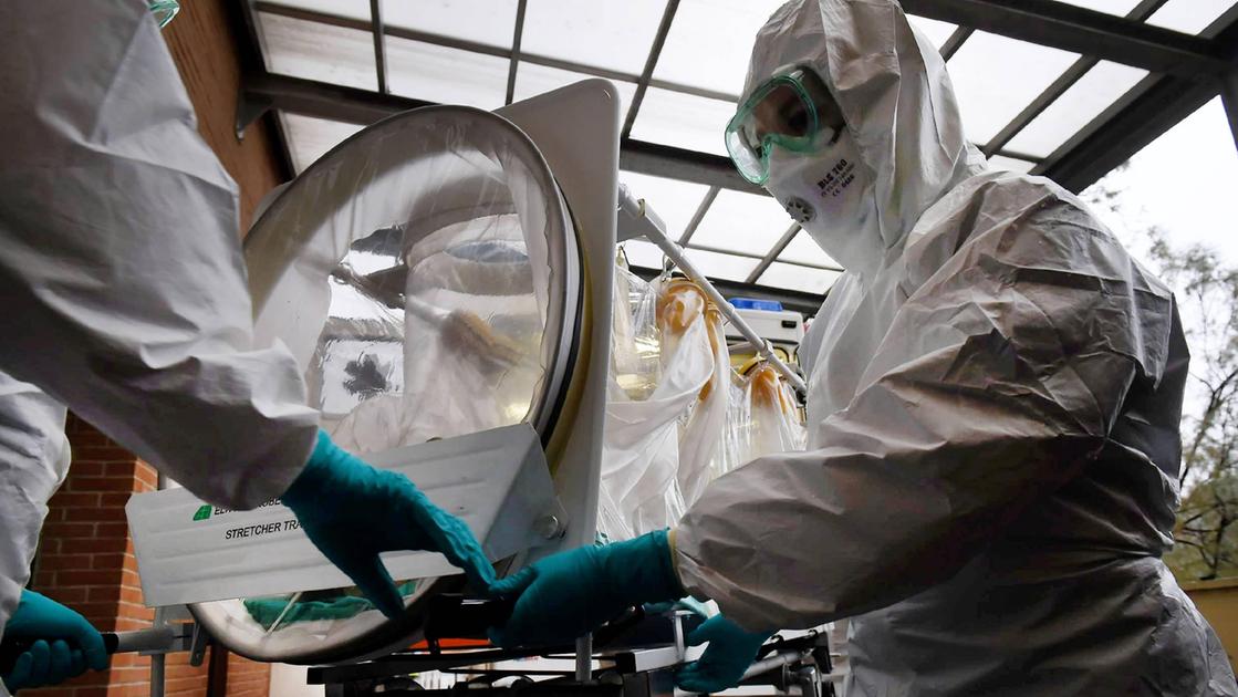 virus medicina contro i superbatteri al sacco uno dei primi casi al mondo