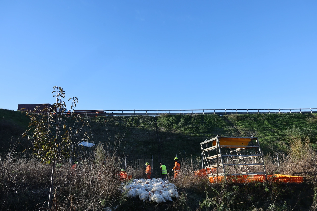 Il carico del camion precipitato oltre la A4 dopo l'incidente mortale (Fotolive Filippo Venezia)