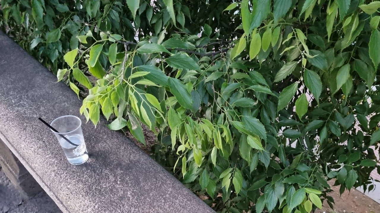 Una testimone ha raccontato alla polizia che quell’uomo si stava pericolosamente dondolando sul muretto che corre lungo viale Gorizia, accanto...