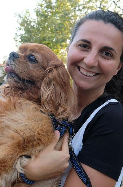 un cucciolo per corrispondenza cani gatti ma pure conigli e criceti la domenica delle adozioni a distanza